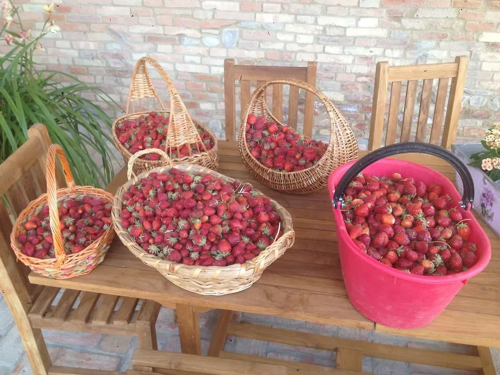 Farm stay Agriturismo Alba Del Borgo Fidenza
