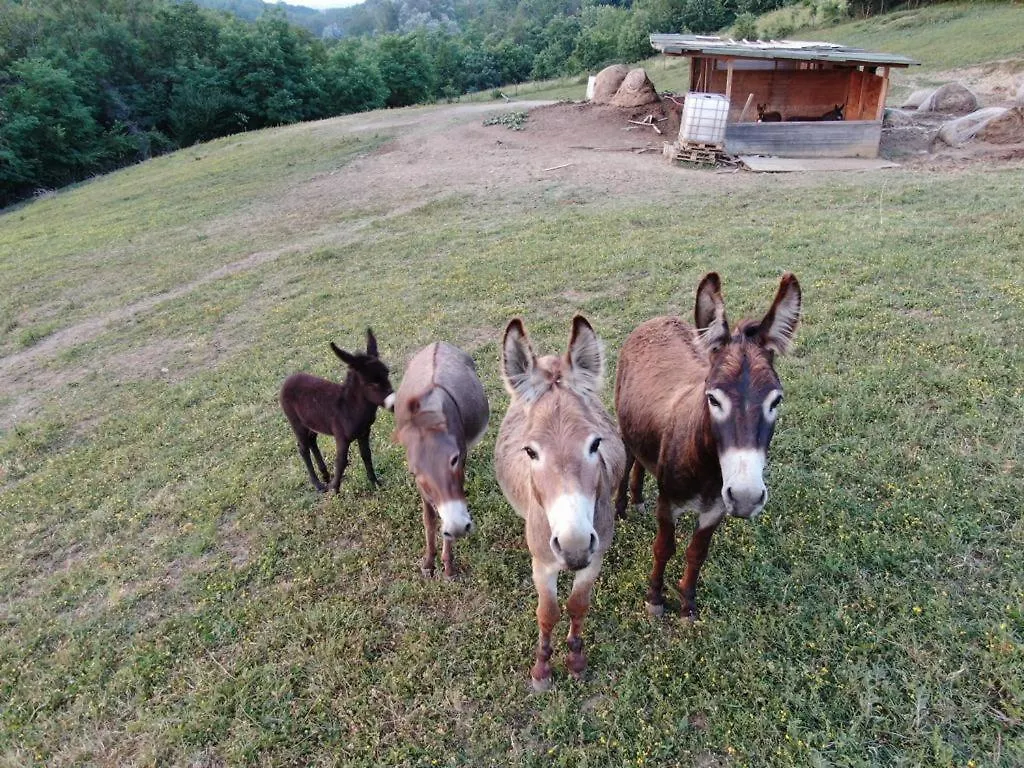 Agriturismo Alba Del Borgo Fidenza Farm stay